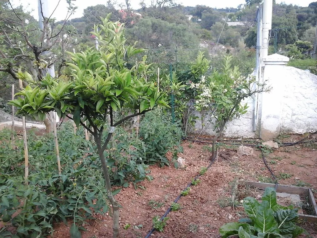 Appartamento Le Palme Siniscola