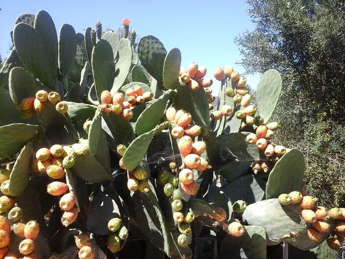 Appartamento Le Palme Siniscola